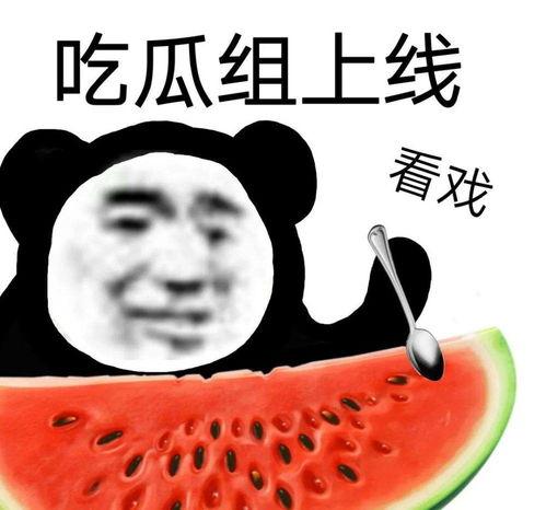 吃瓜大学学姐视频,视频内容深度解析