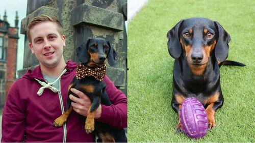 喂狗吃瓜群众视频播放在线观看,喂狗吃瓜，欢乐瞬间在线共享