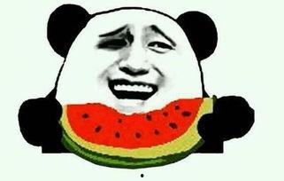 吃瓜群众最佳视频,揭秘娱乐圈幕后真相