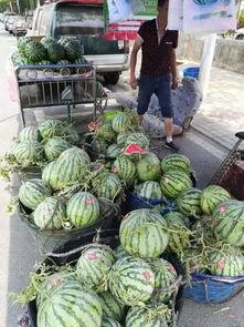 潮汕彩塘吃瓜事件视频