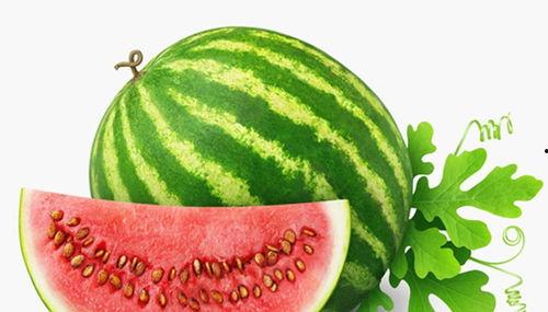 吃瓜怎么留种子视频教学,从“吃瓜留种”视频学种植技巧